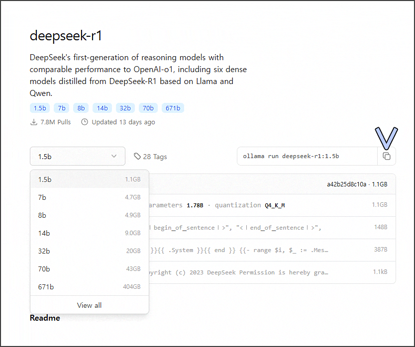 DeepSeek Local Model