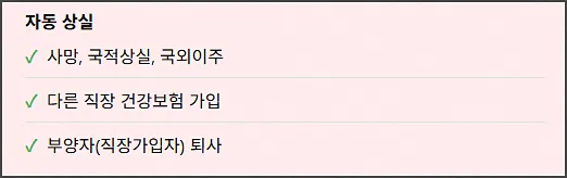 피부양자 자동 자격 상실