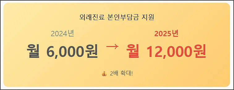 외래진료 본인부담금 지원