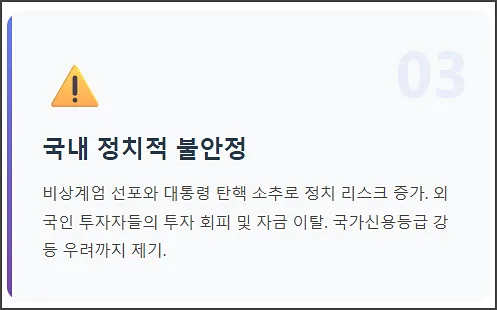 국내 정치적 불안정