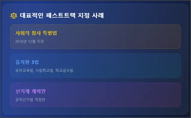 패스트트랙 지정 사례