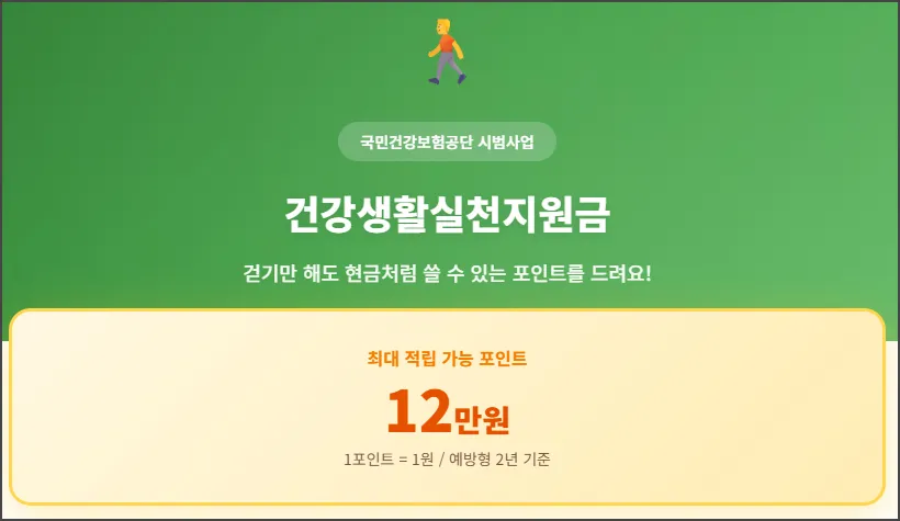 건강생활실천지원금이란