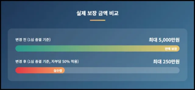 실제 보장 금액 비교