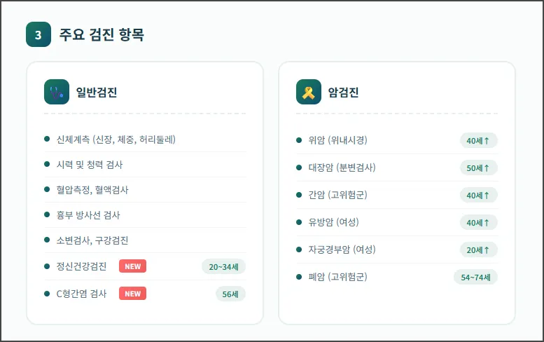 주요 검진 항목