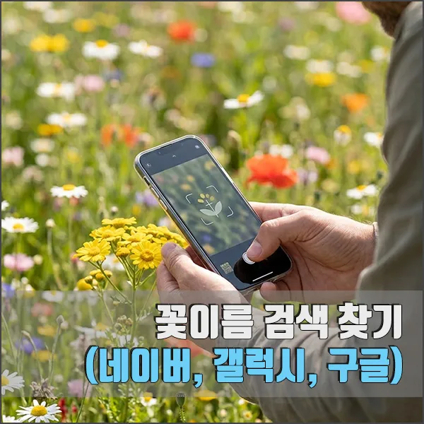 꽃이름 검색 찾기 방법 3가지 (네이버, 갤럭시, 구글) 섬네일