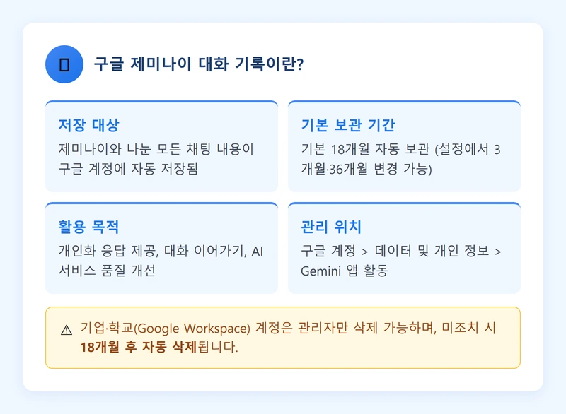 구글 제미나이 대화 기록 개요 인포그래픽