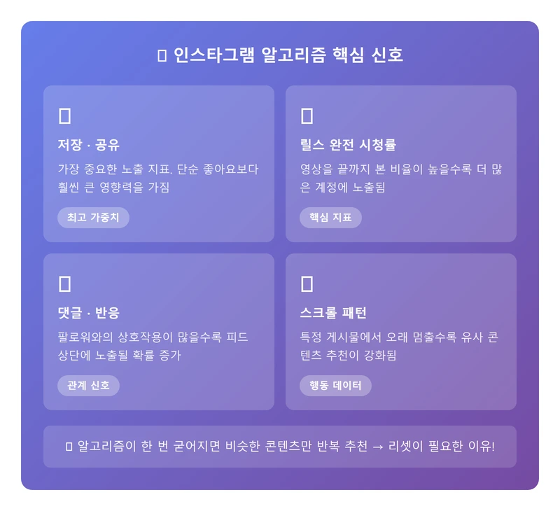 인스타그램 알고리즘이란 인포그래픽