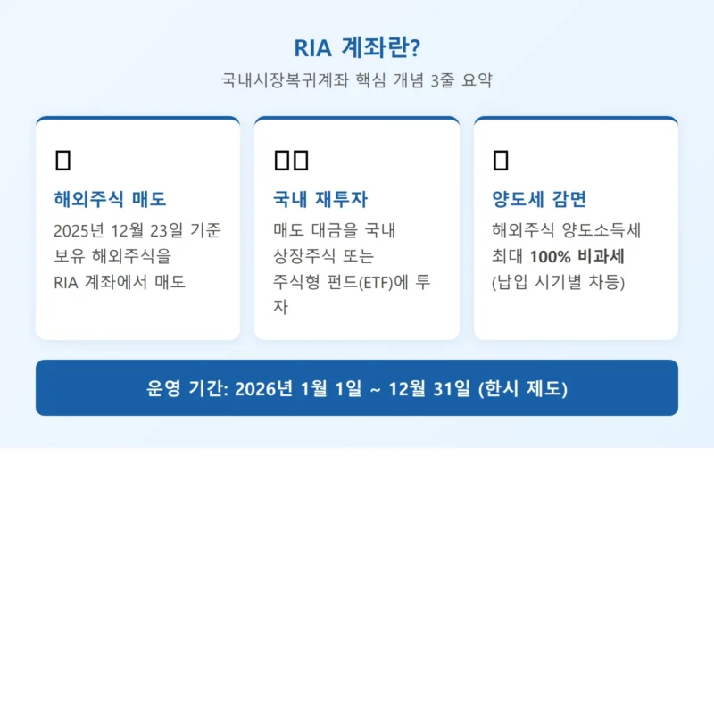 RIA 계좌란 국내시장복귀계좌 개념 인포그래픽