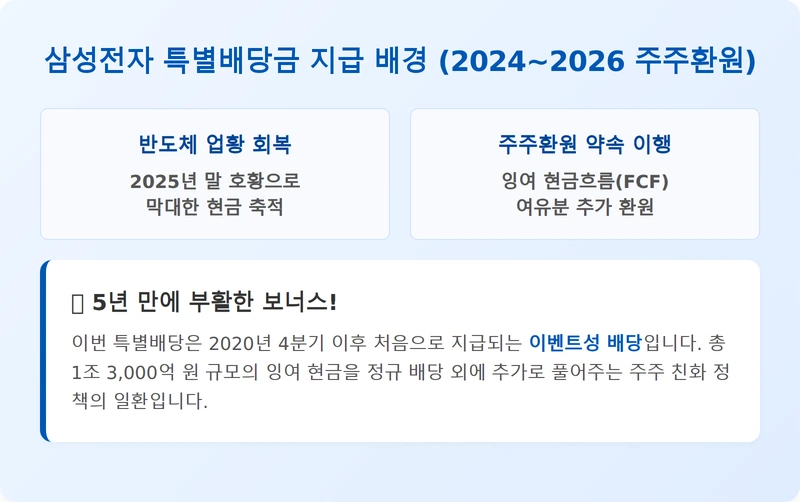 특별배당 지급 배경 인포그래픽