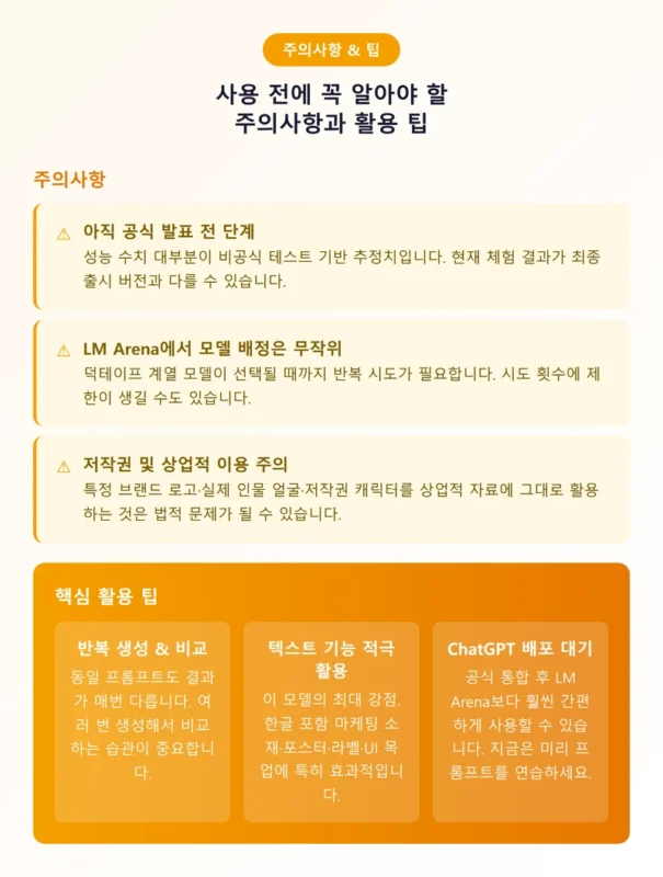 주의사항과 활용 팁 인포그래픽